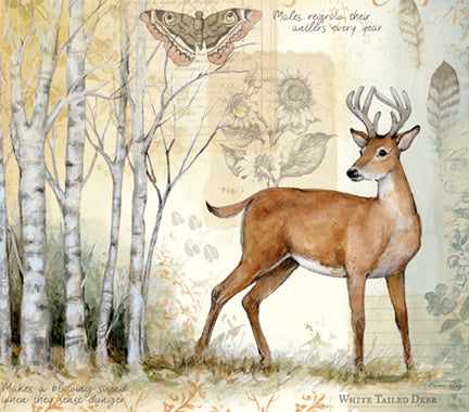 Susan Winget – Lang Calendars Canada